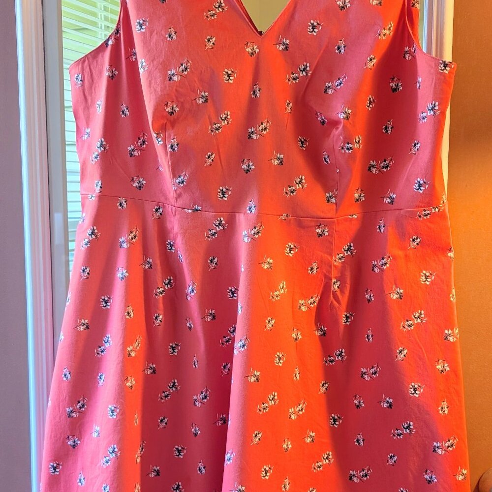 Lane Bryant Pink Sun Dress